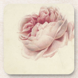 Posavasos Roze Roos (1792) – Arte Botánico Vintage Atemporal