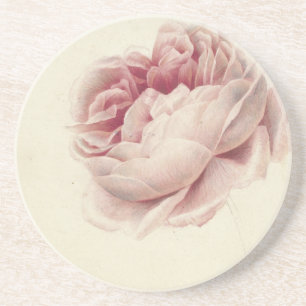Posavasos Roze Roos (1792) – Intemporales Estampados Botánic