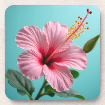 Rubor de elegancia: Radio Hibiscus rosa