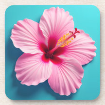 Rubor de elegancia: Radio Hibiscus rosa