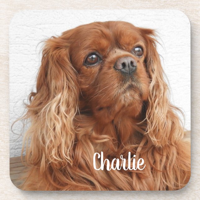 Posavasos Ruby Cavalier King Charles Spaniel Dog (Frente)