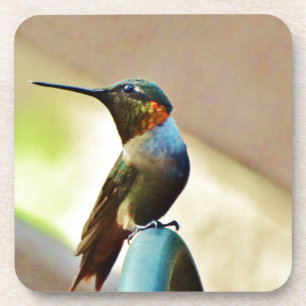 Posavasos Ruby encaramado y colibrí verde