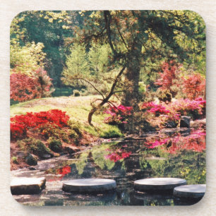 Posavasos Ruta de curación