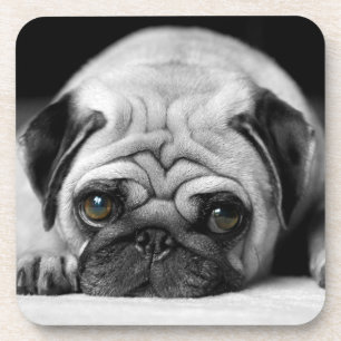 Posavasos Sad Pug