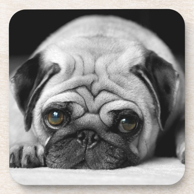 Posavasos Sad Pug (Frente)