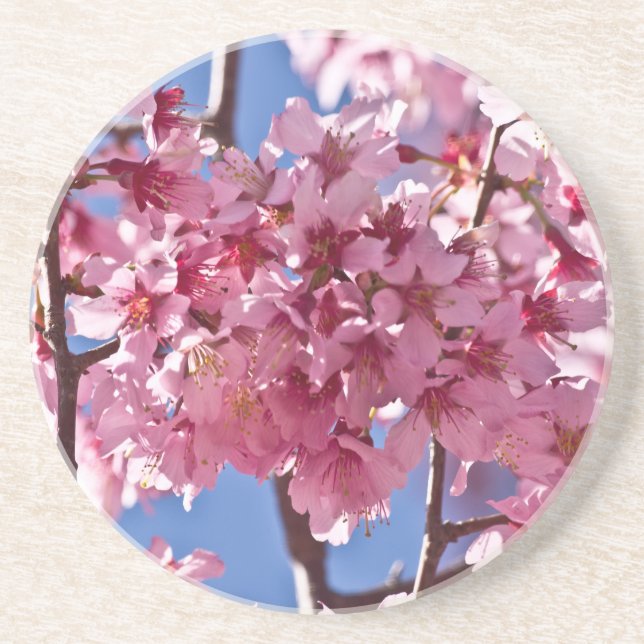 Posavasos Sakura cerezos florecen estrellas rojas (Frente)
