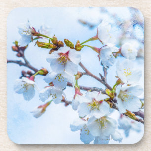 Posavasos Sakura - Florecimiento de cerezo japonés