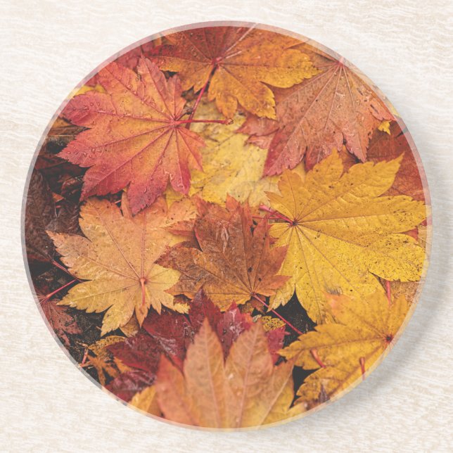 POSAVASOS SALIDAS DE GOLDEN DEL OTOÑO (Frente)