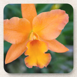 Posavasos Salmon Orchid