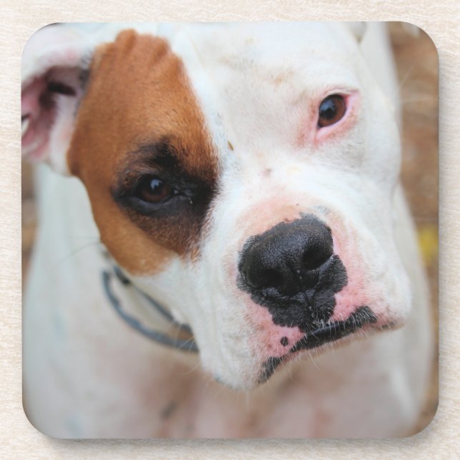 Posavasos Salto (Frente)