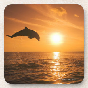 Posavasos Salto del delfín de Bottlenose