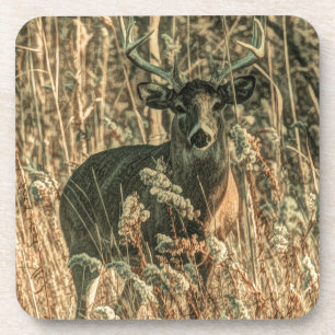 Posavasos salvaje al aire libre Camouflage venado blanco