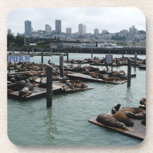 Posavasos San Francisco y leones marinos del Pier 39 panoram