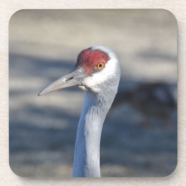Posavasos Sandhill Crane (Frente)