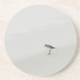 Posavasos Sandpiper costero en la playa