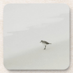 Posavasos Sandpiper costero en la playa