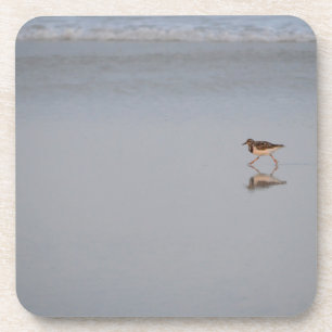 Posavasos Sandpiper Running Along The Beach