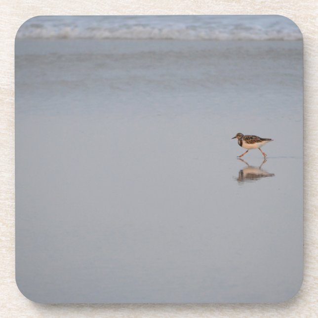 Posavasos Sandpiper Running Along The Beach (Frente)
