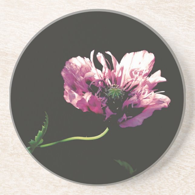 Posavasos Sandstone Coaster (Frente)