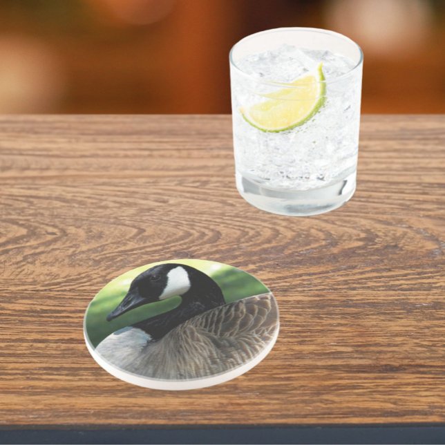 Posavasos Sandstone foto de la fauna ganosa de Canadá (In Situ)