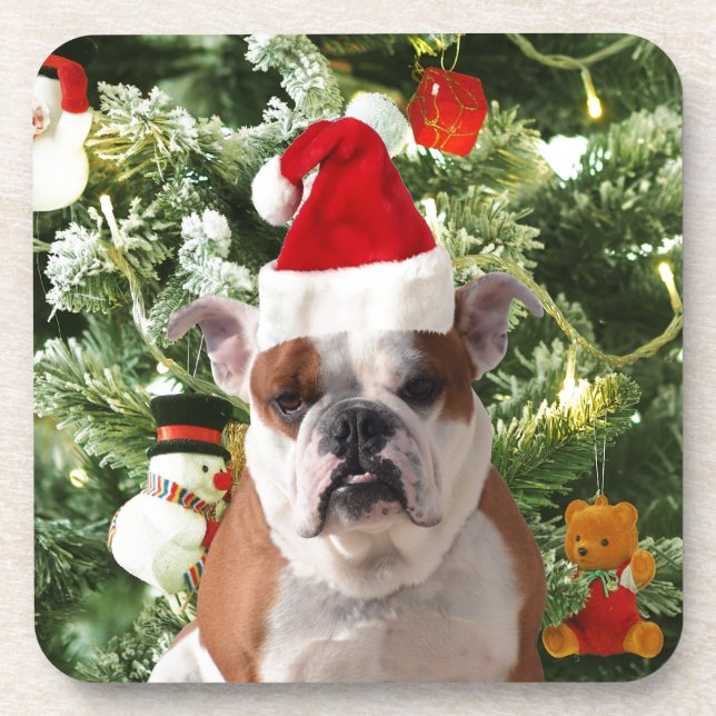 Posavasos Santa Hat Bulldog Árbol de Navidad Snowman Gift Bo (Frente)