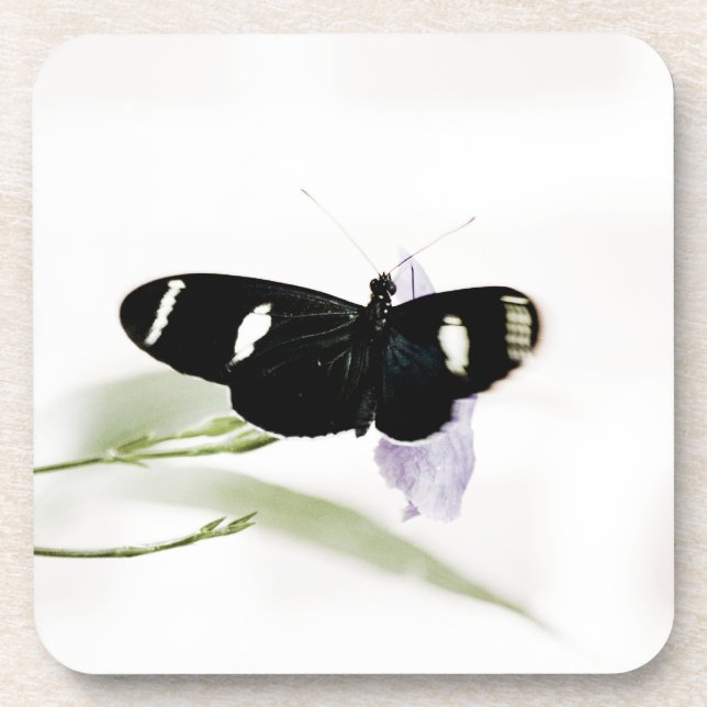 Posavasos Sara Cork Coaster (Frente)