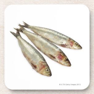 Posavasos Sardinas (sardinas)