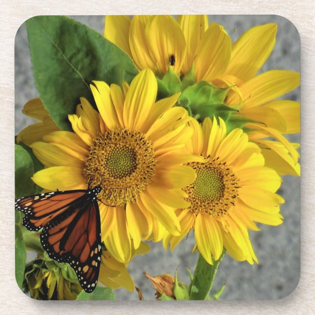 Posavasos Sastres de mariposa de girasol y monarca (Frente)