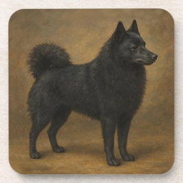Posavasos Schipperke