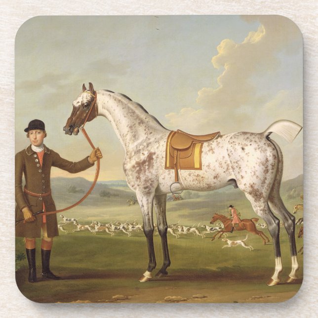 Posavasos Scipio, Hunter de Spotted, c.1750 (oi de coronel (Frente)