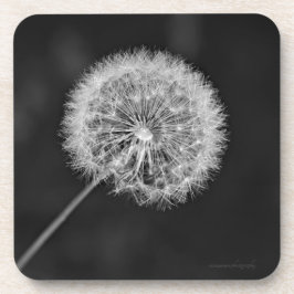 Posavasos Se fue a la semilla