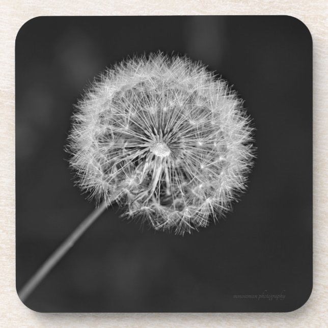 Posavasos Se fue a la semilla (Frente)