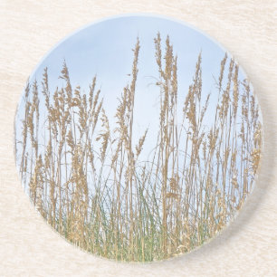 Posavasos Sea Oats Outer Banks NC Series