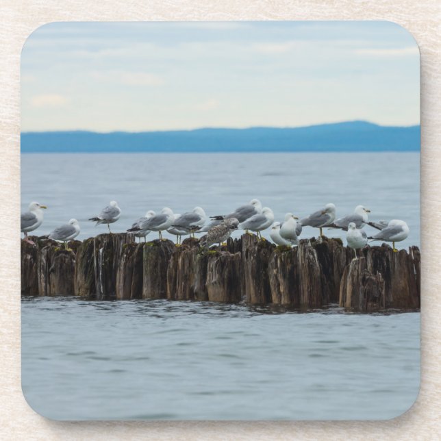 Posavasos Seagull Breaktime (Frente)