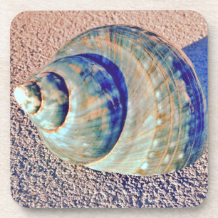 Posavasos Seashell de Welk del mar