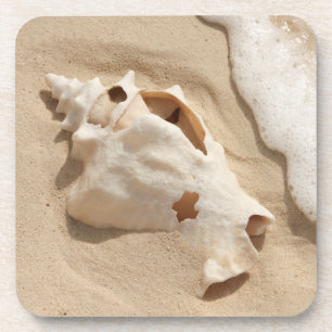 Posavasos Seashell en la isla caribeña magnífica del turco