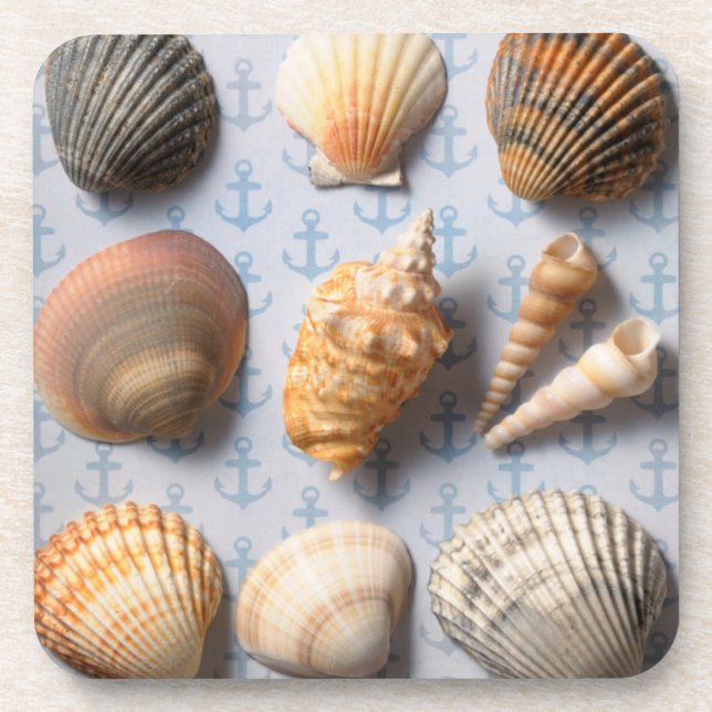 Posavasos Seashells en el contexto del ancla (Frente)