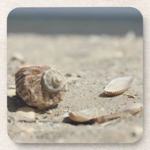 Posavasos Seashells en la arena por el mar