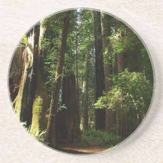 Posavasos Secuoyas y ferris en el Parque Nacional Redwood