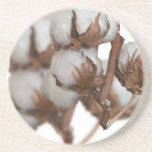 Posavasos Segundo aniversario de la planta de algodón<br><div class="desc">Esta montaña rusa de arenisca es perfecta como un segundo aniversario boda,  o un regalo de aniversario para el algodón. Presenta un diseño de verdaderas vainas de algodón y haría un gran toque.</div>