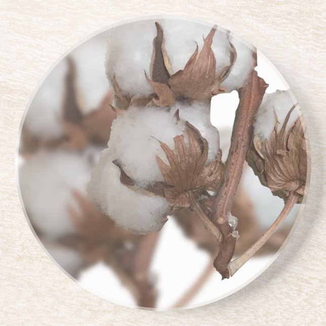 Posavasos Segundo aniversario de la planta de algodón (Frente)