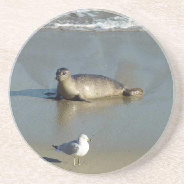 Posavasos Sello de puerto en La Jolla California (Frente)