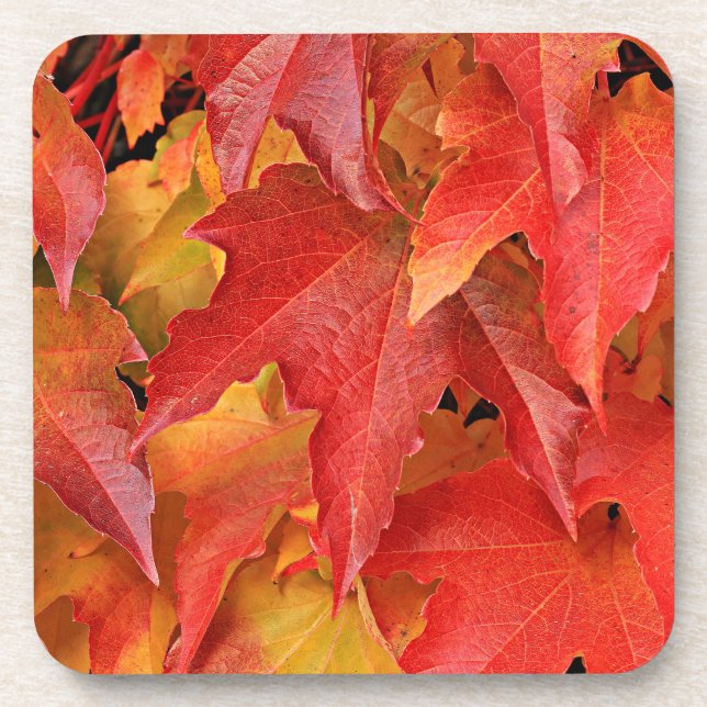 Posavasos Semana Santa de la temporada de otoño (Frente)