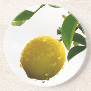 Posavasos Semana Santa - Limón húmedo