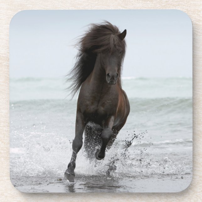 Posavasos Semental que corre en la playa el | Atlántico (Frente)