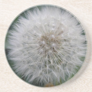Posavasos Semillas de flores de Dandelion
