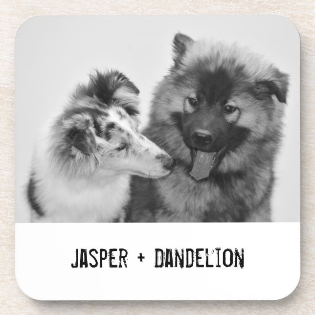 Posavasos Sencillo, moderno Mascota Personalizado o foto de  (Frente)