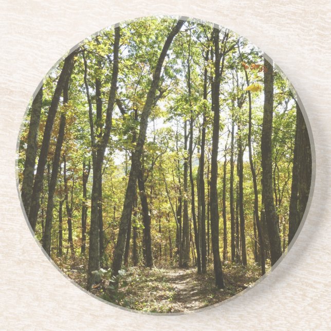 Posavasos Sendero Apalache en octubre en Shenandoah (Frente)