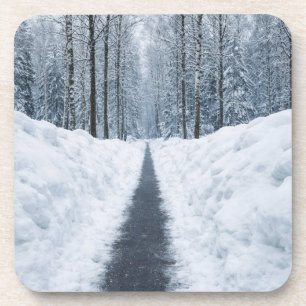Posavasos Sendero de bosque invernal brumoso Paisaje inverna