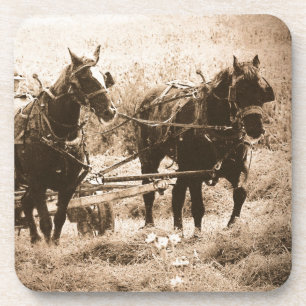 Posavasos Sepia de Caballos Amish en Trabajo